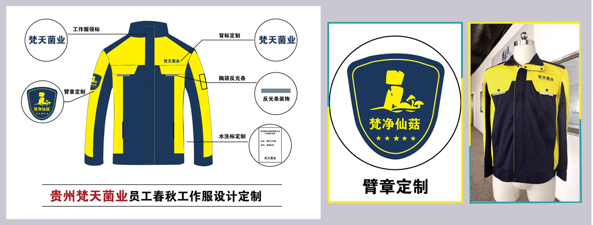 梵天菌業工作服款式圖片
